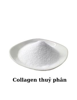 Collagen thuỷ phân