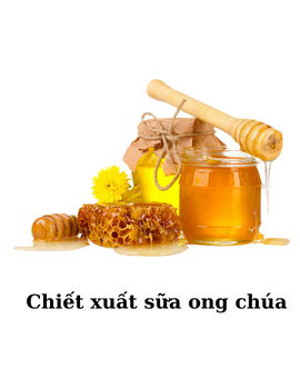 Chiết xuất sữa ong chúa