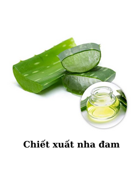 Chiết xuất nha đam