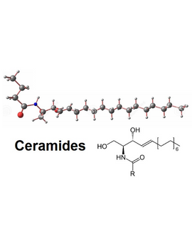 Ceramides