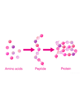 Peptide