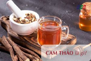 Cam thảo là gì