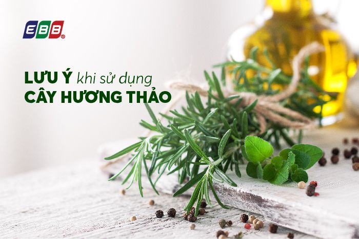 Lưu ý khi sử dụng cây hương thảo