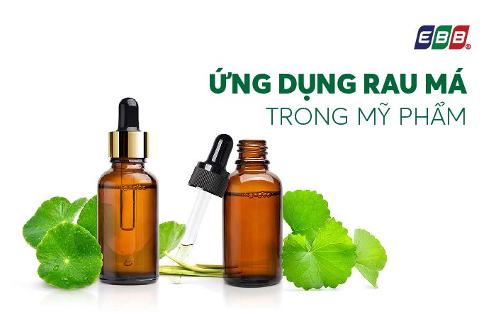 Ứng dụng của rau má trong mỹ phẩm