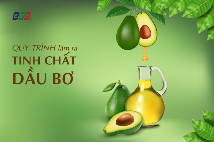 Quy trình làm tinh dầu bơ