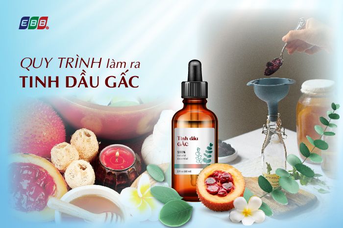 Quy trình làm tinh dầu gấc