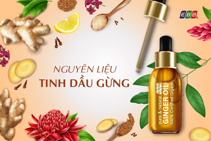 Thành phần nguyên liệu tinh dầu gừng