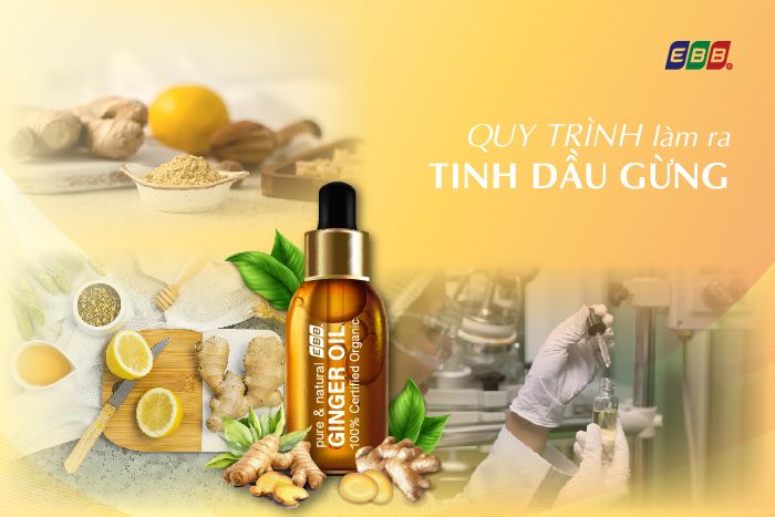 Quy trình làm tinh dầu gừng